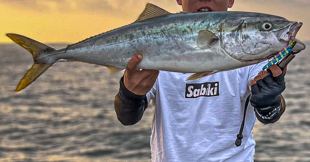 動画を読み込む: 