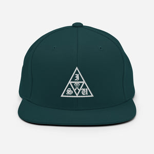 Delta Snapback Hat